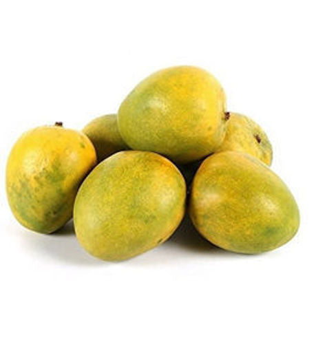Kalapadi Mango Grafted Live Plant