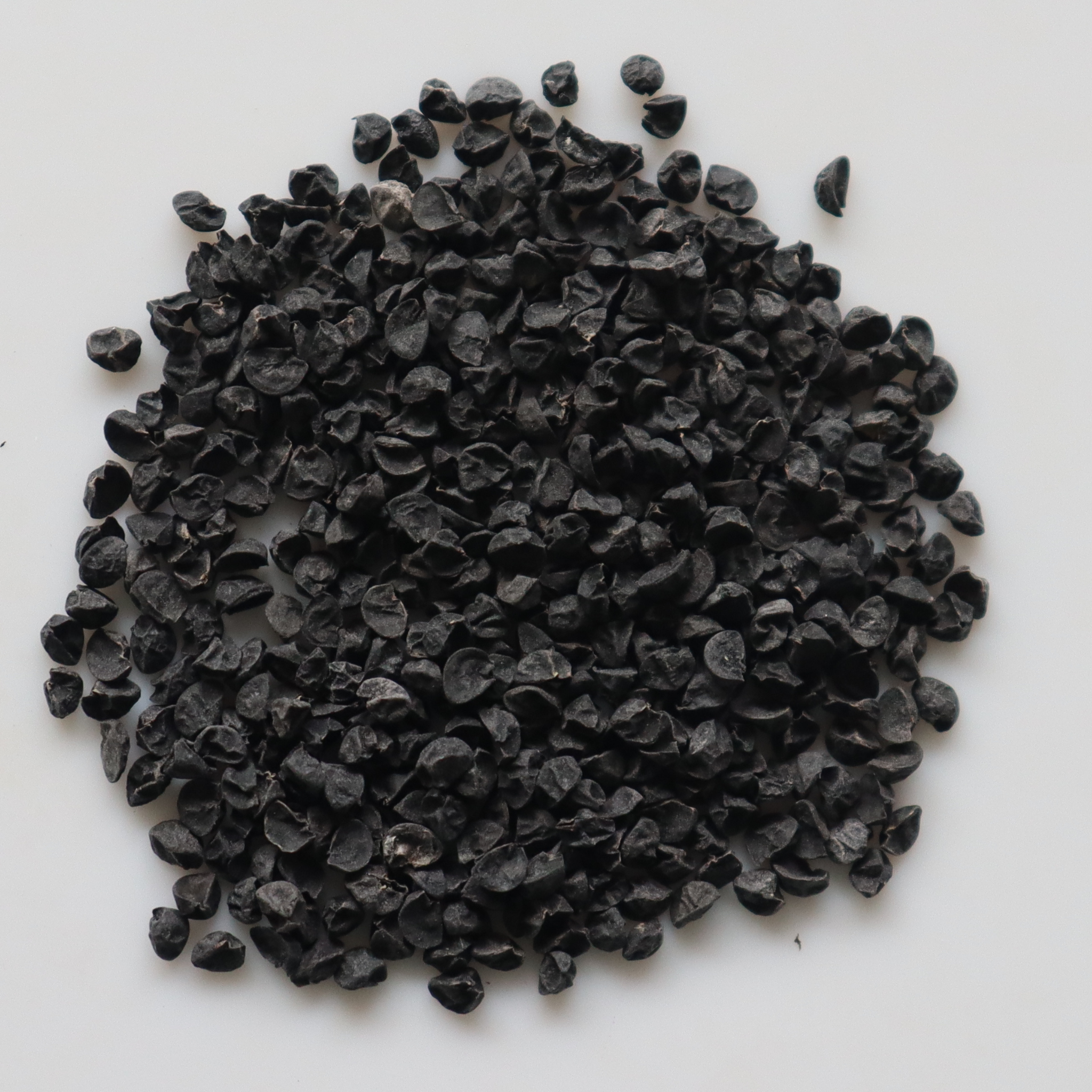 Organic Onion Seeds - Open Pollinated