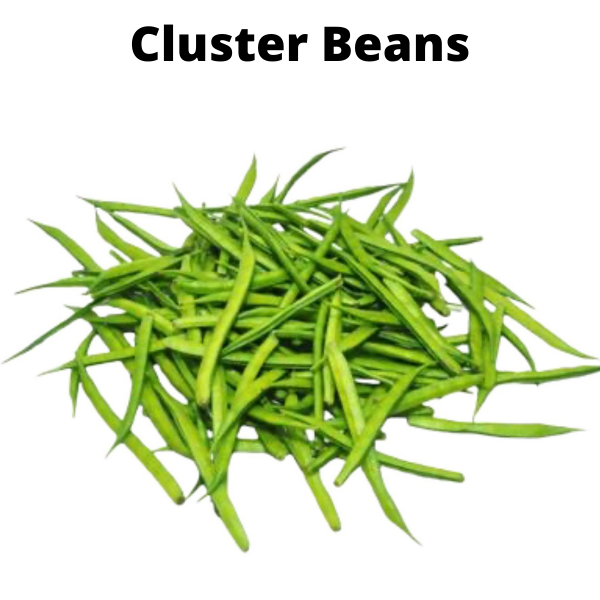 Beans Seeds Bundle