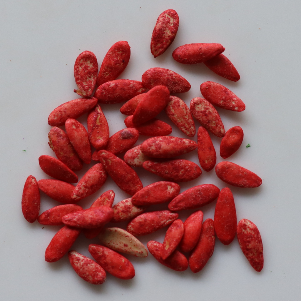Organic Sambar Cucumber Seeds - Open Pollinated