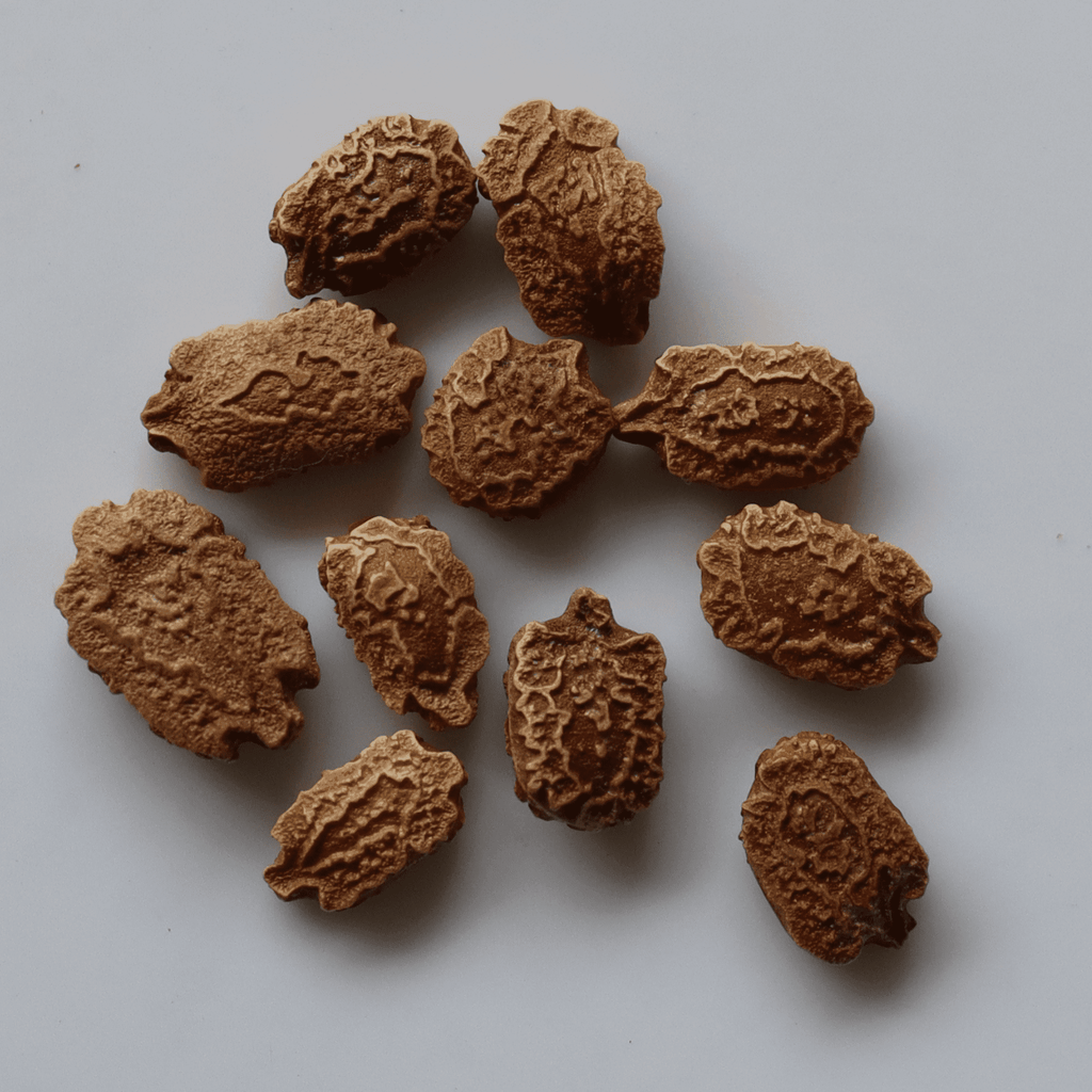 Organic Green Bitter Gourd Seeds - Open Pollinated