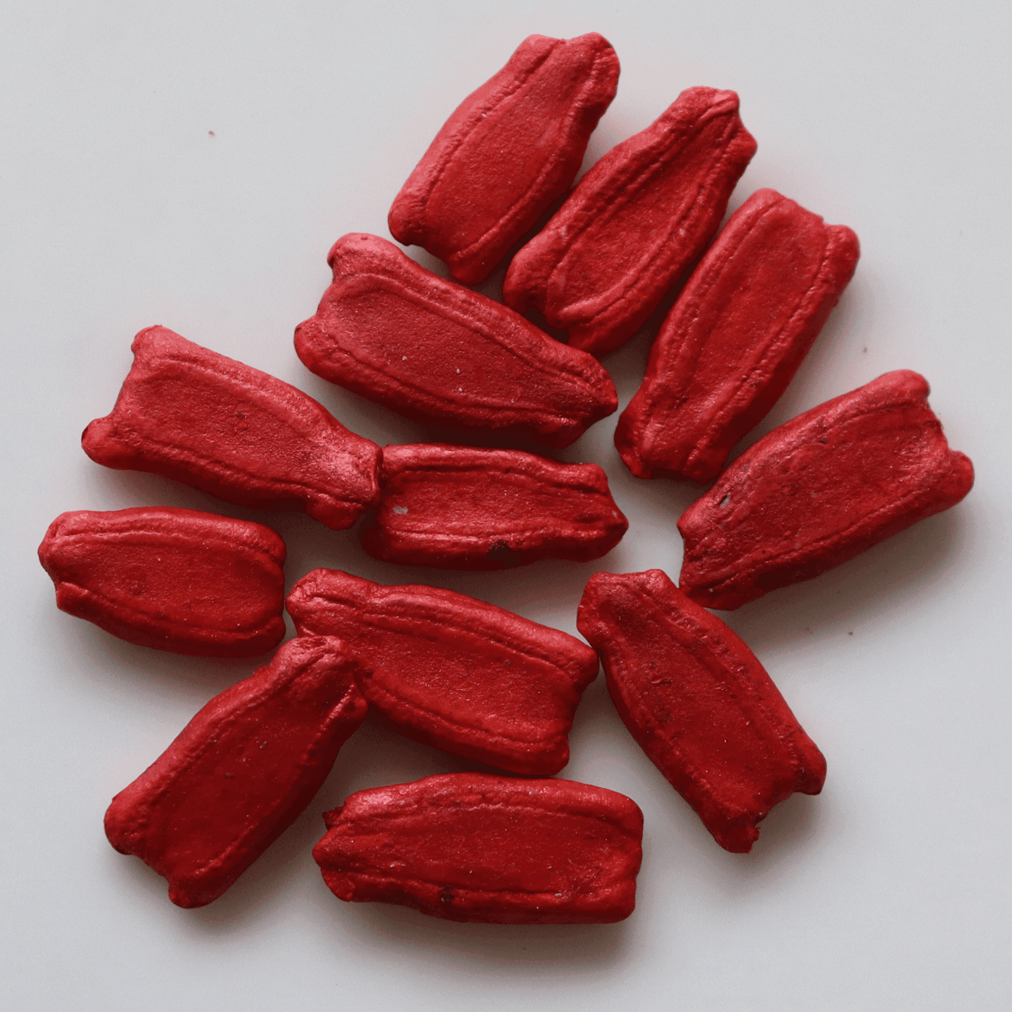 Organic Bottle Gourd Seeds - Open Pollinated