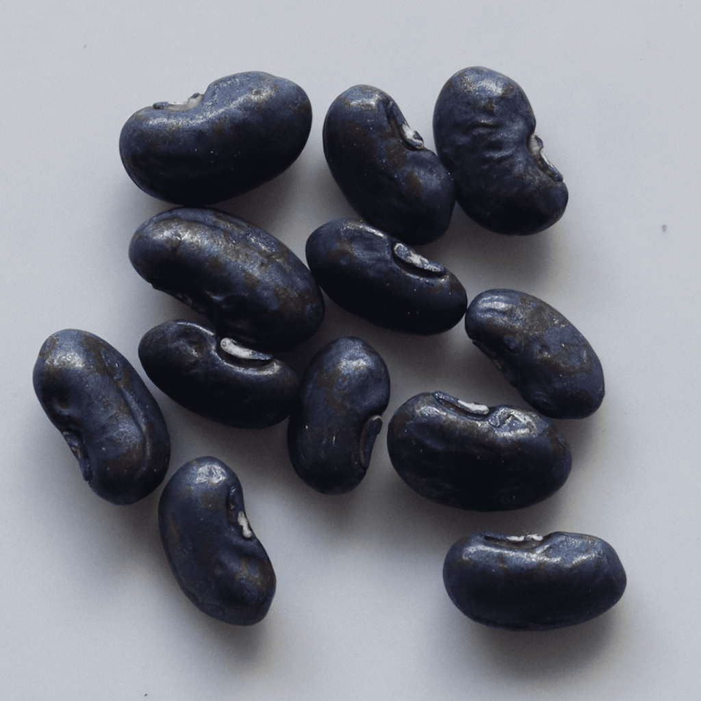 Organic Yard Long Beans Seeds - Open Pollinated