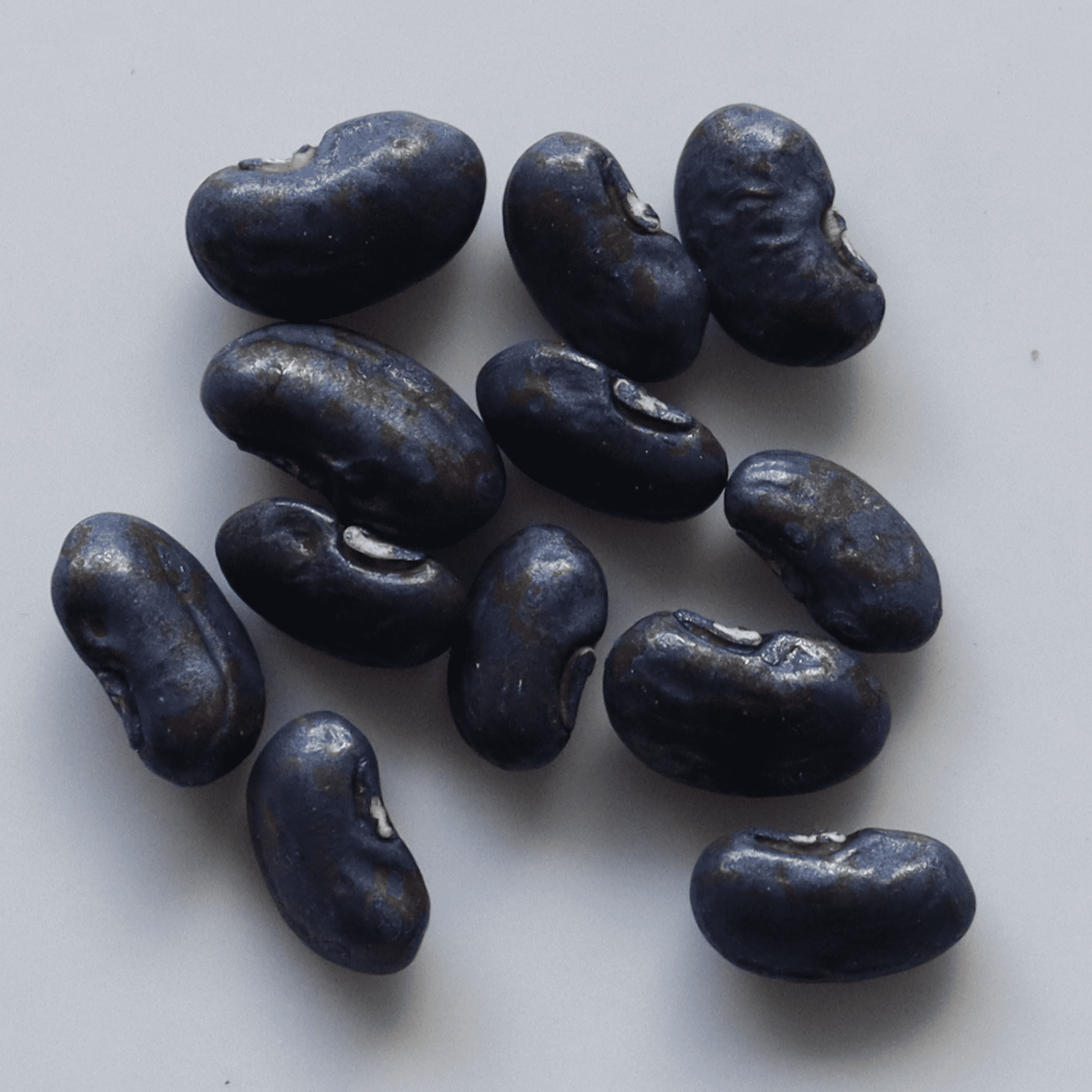 Organic Yard Long Beans Seeds - Open Pollinated