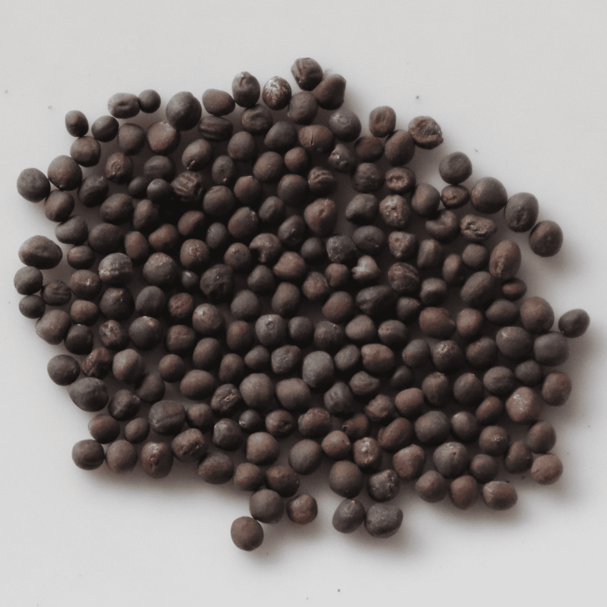 Organic Knol Khol Seeds - Open Pollinated