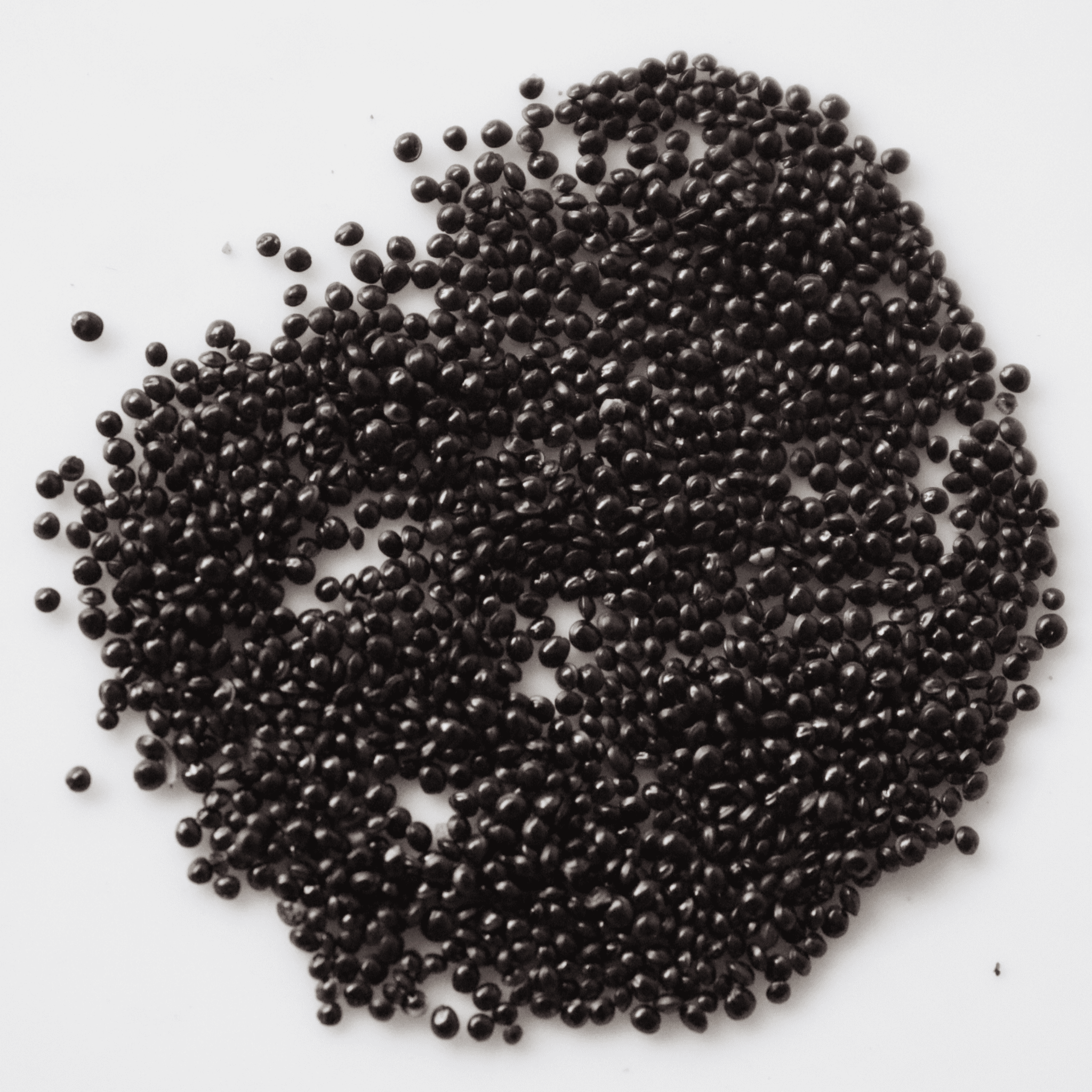 Organic Reshmi Amaranthus Seeds - Open Pollinated