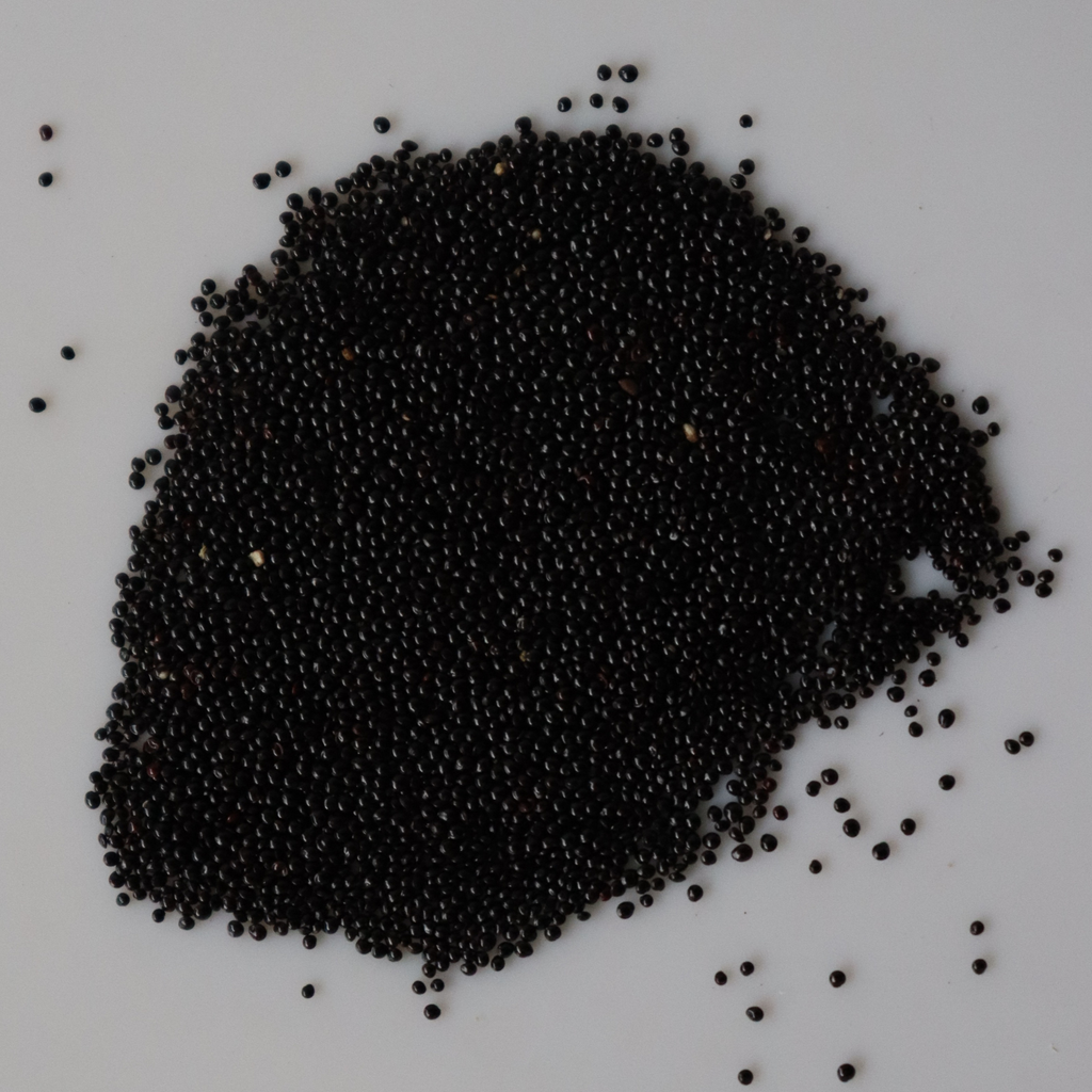 Organic Green Amaranthus Seeds - Open Pollinated