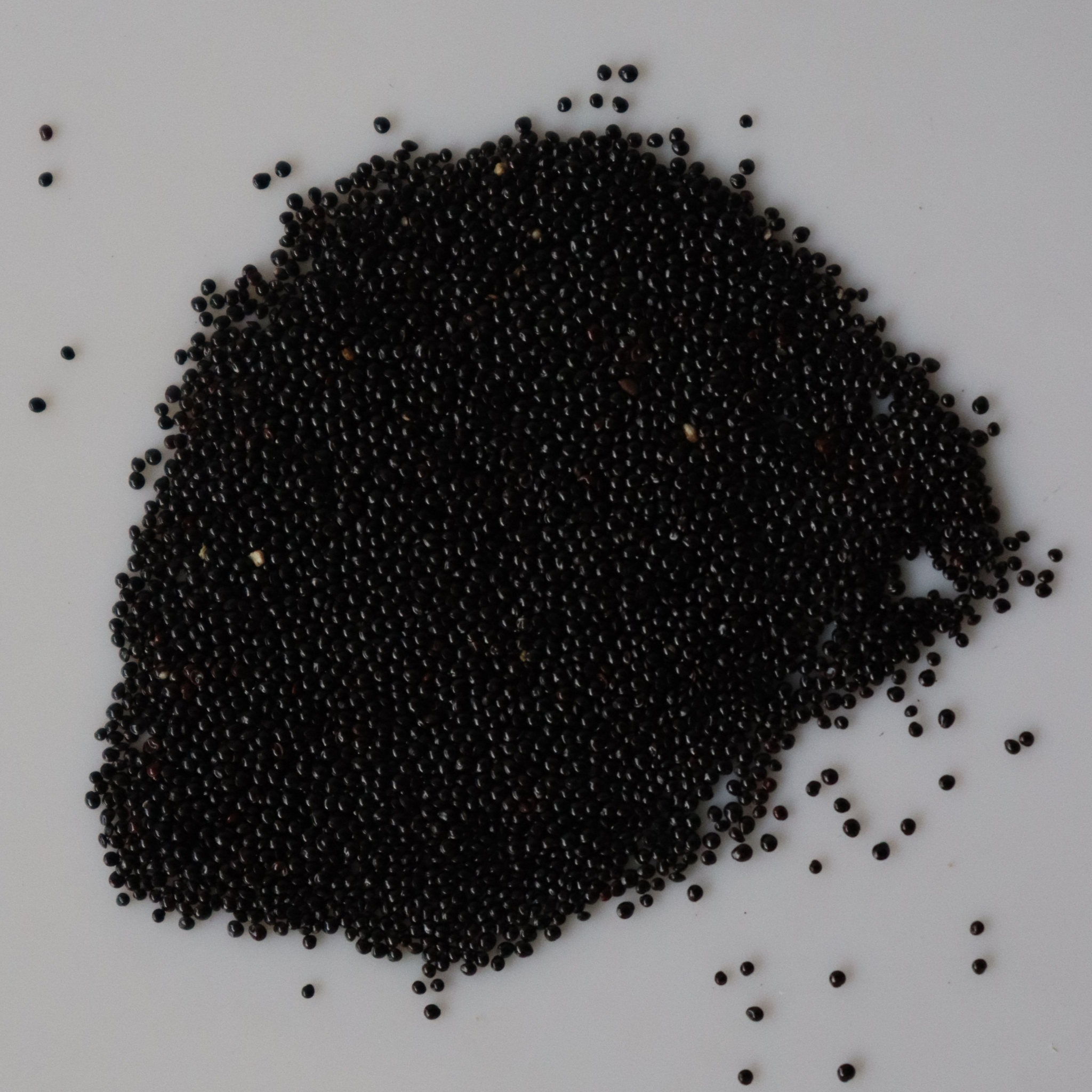 Organic Green Amaranthus Seeds - Open Pollinated