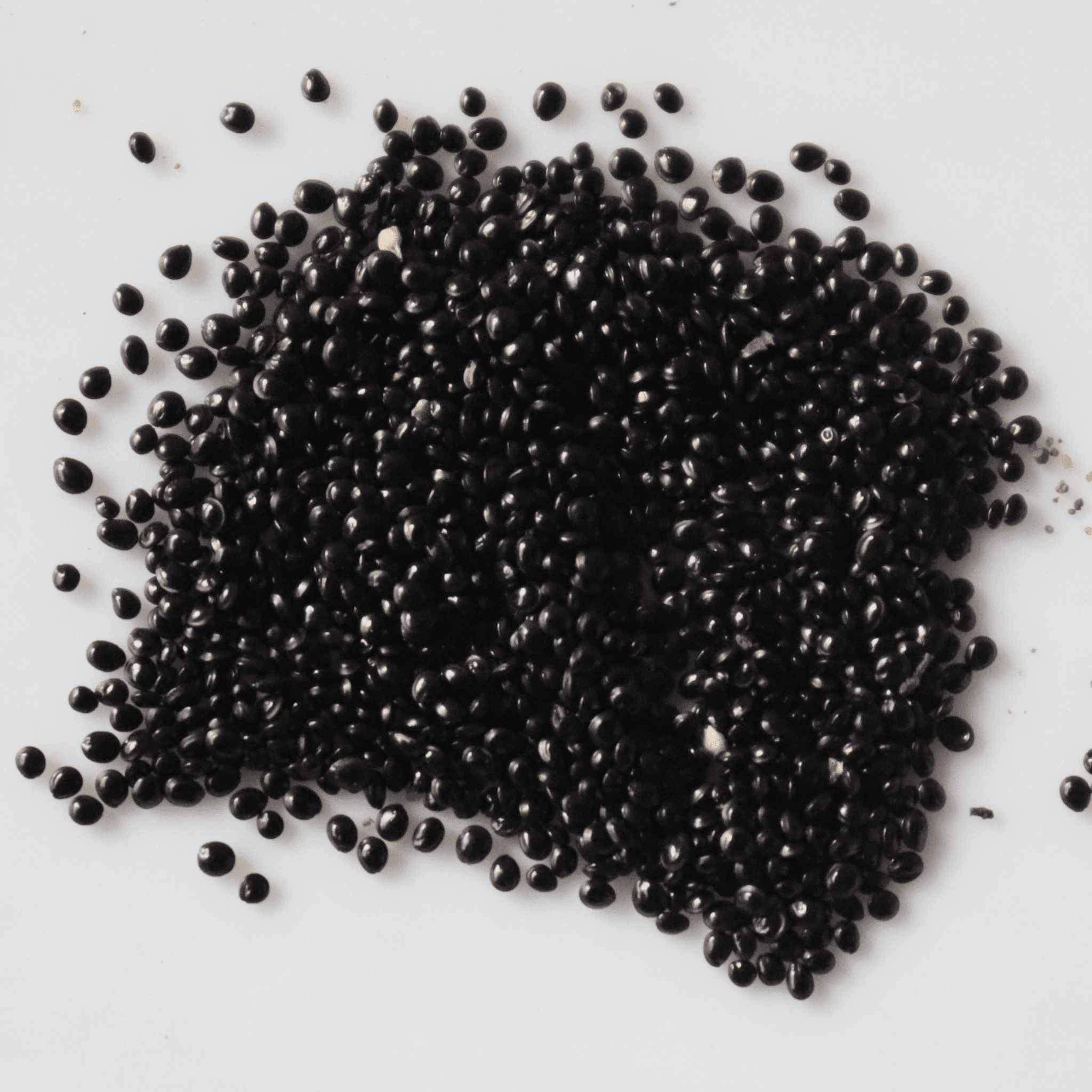 Organic Red Amaranthus Seeds - Open Pollinated