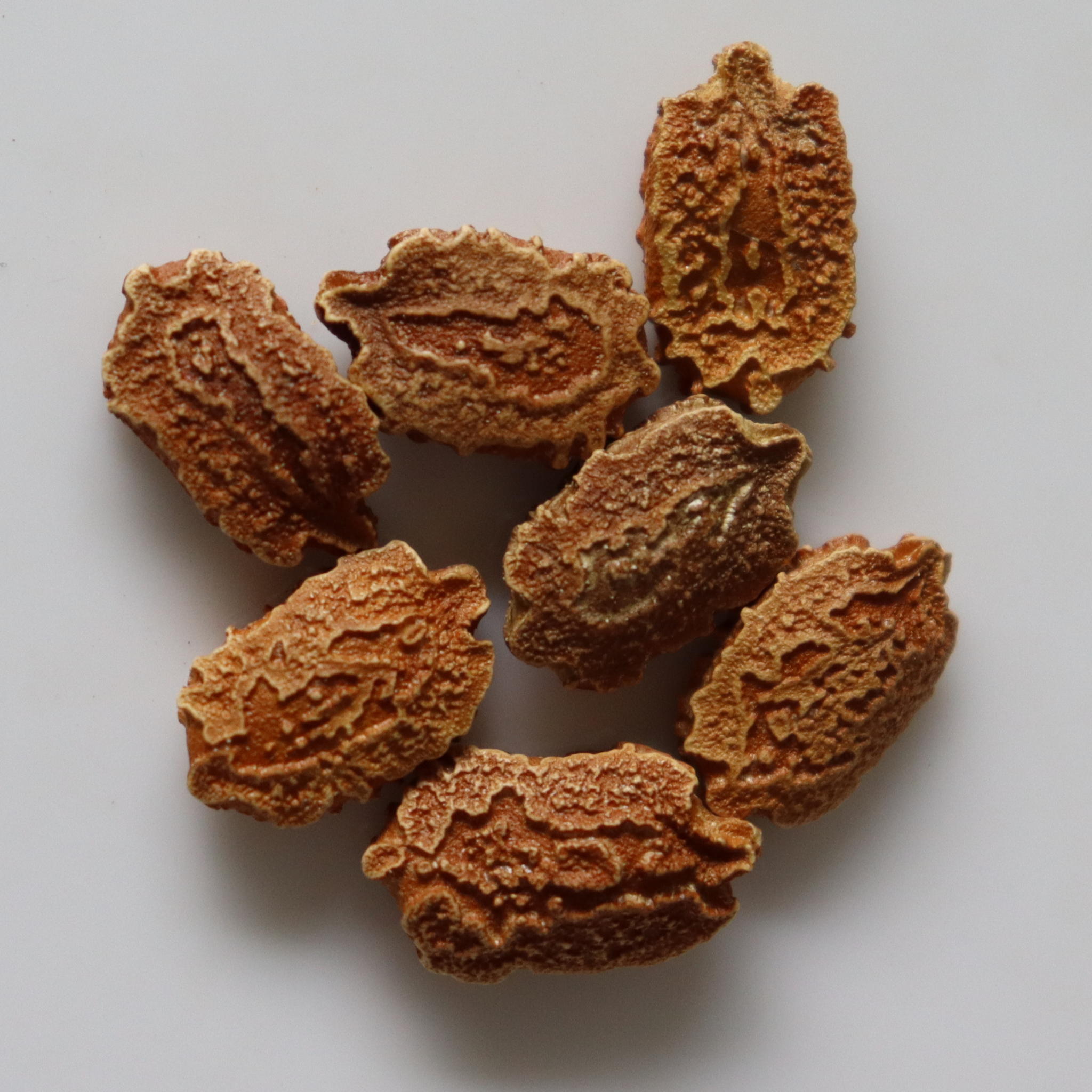 Organic White Bitter Gourd Seeds - Open Pollinated