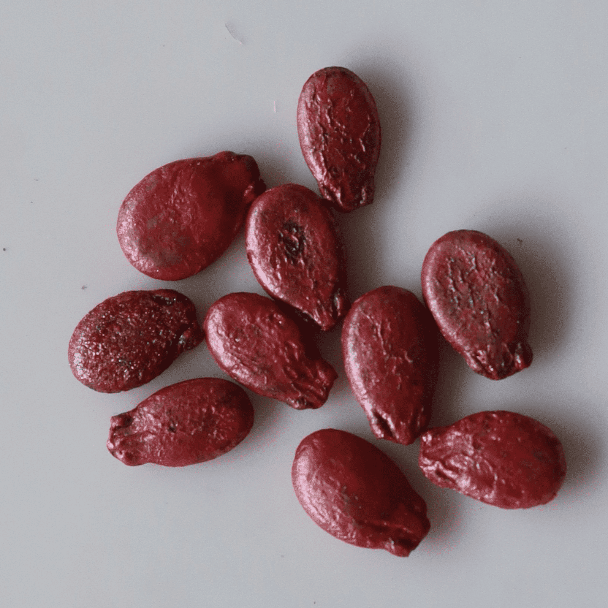 Organic Watermelon Seeds - तरबूज के बीज