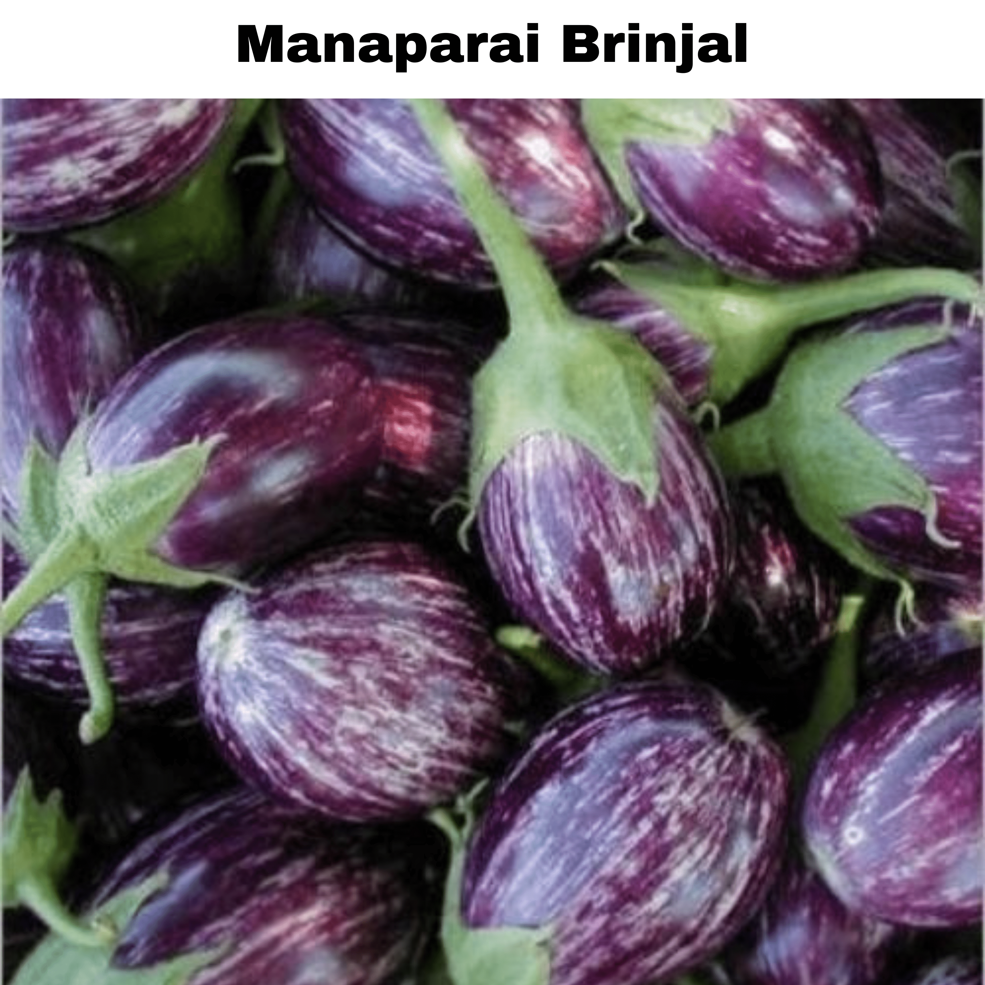 Top Selling Seeds Bundle