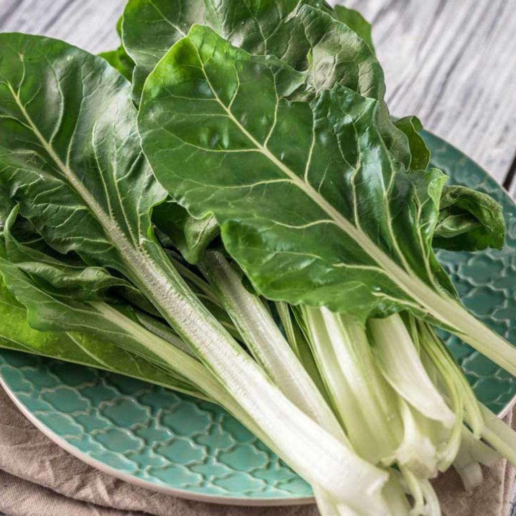 Organic Swiss Chard (स्विस चार्ड के बीज) Seeds - Open Pollinated