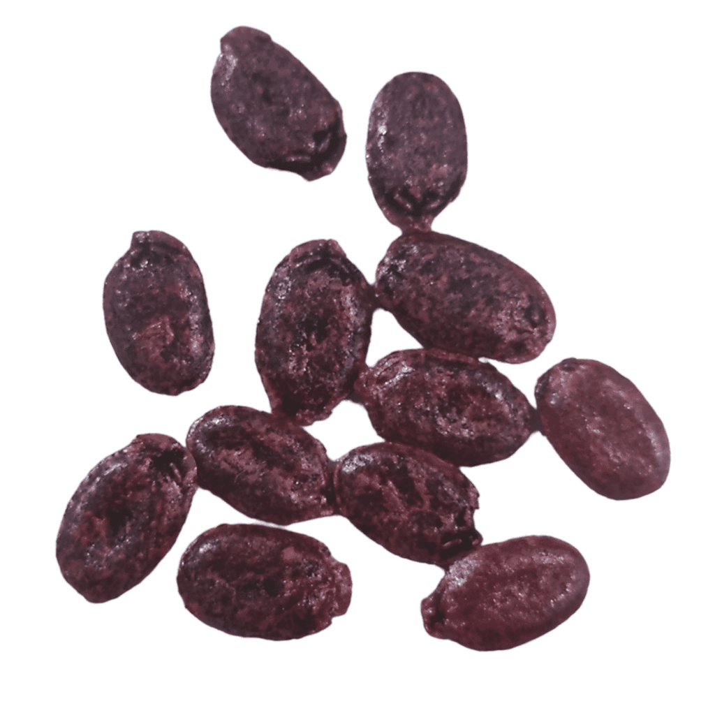 Organic Sponge Gourd Seeds - Open Pollinated