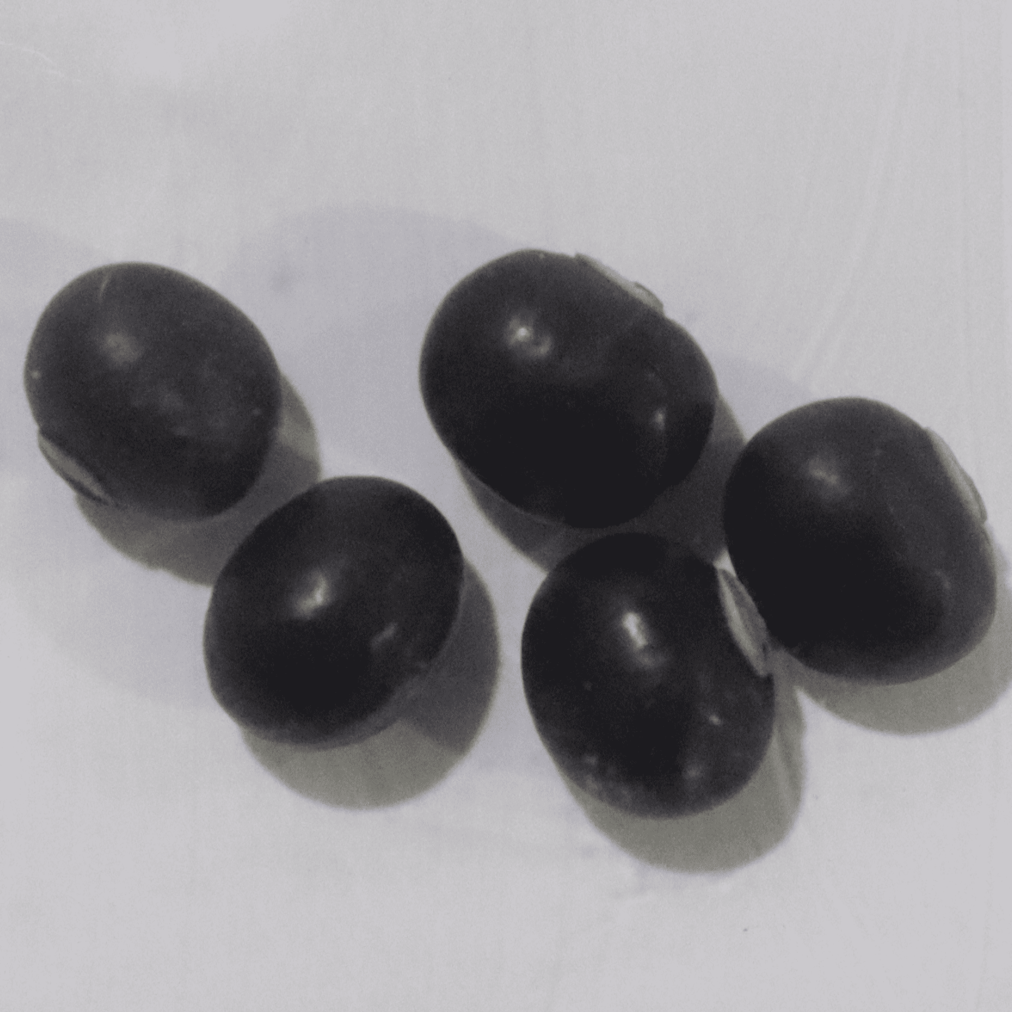 Organic Purple Winged Beans Seeds - Open Pollinated