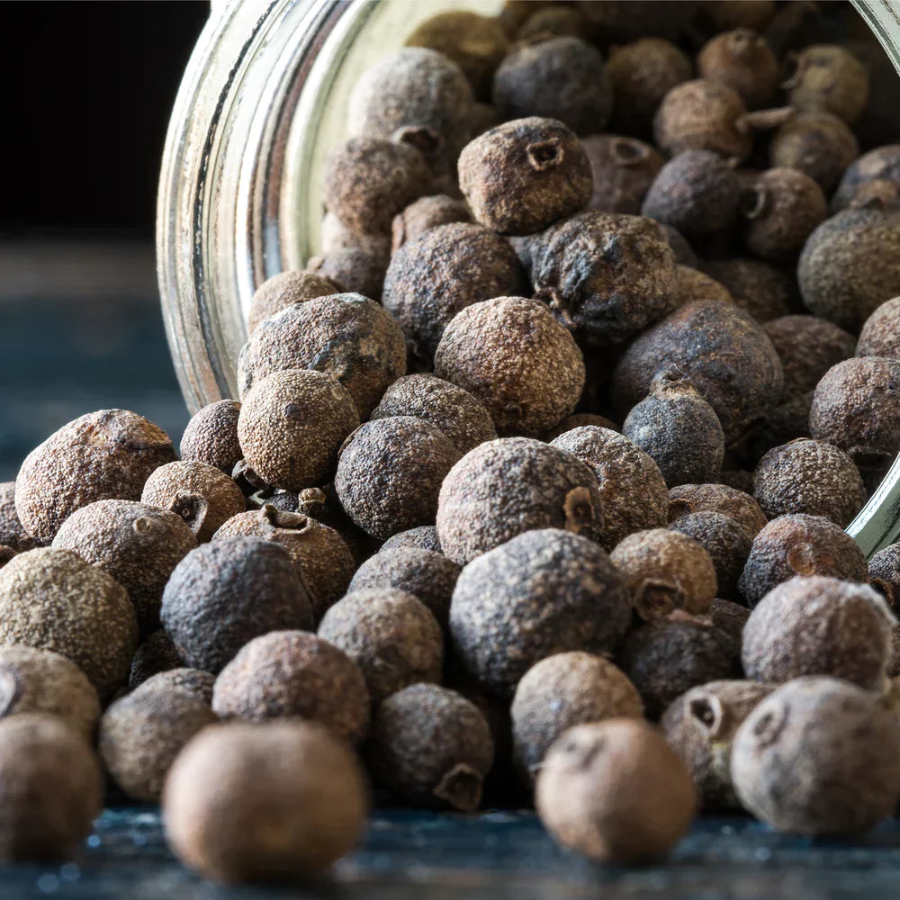 All Spice / Sarvasugandhi (Pimenta dioica) Spice Plant