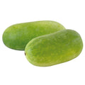 Organic Ash Gourd Seeds - Open Pollinated