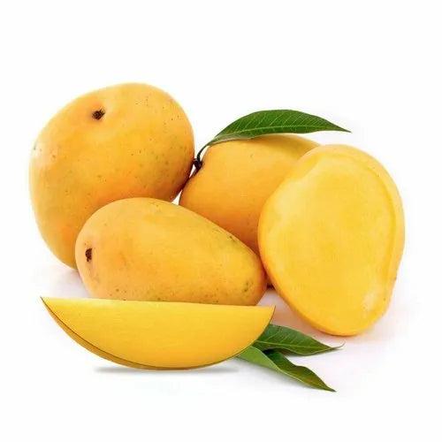 Banganapalli Mango Grafted Live Plant
