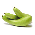 Organic Bottle Gourd Seeds - Open Pollinated