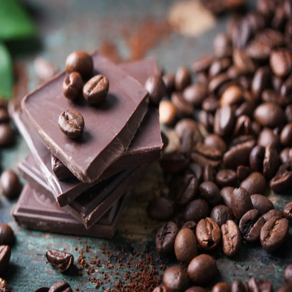 Cocoa - chocolate Tree Live Plant