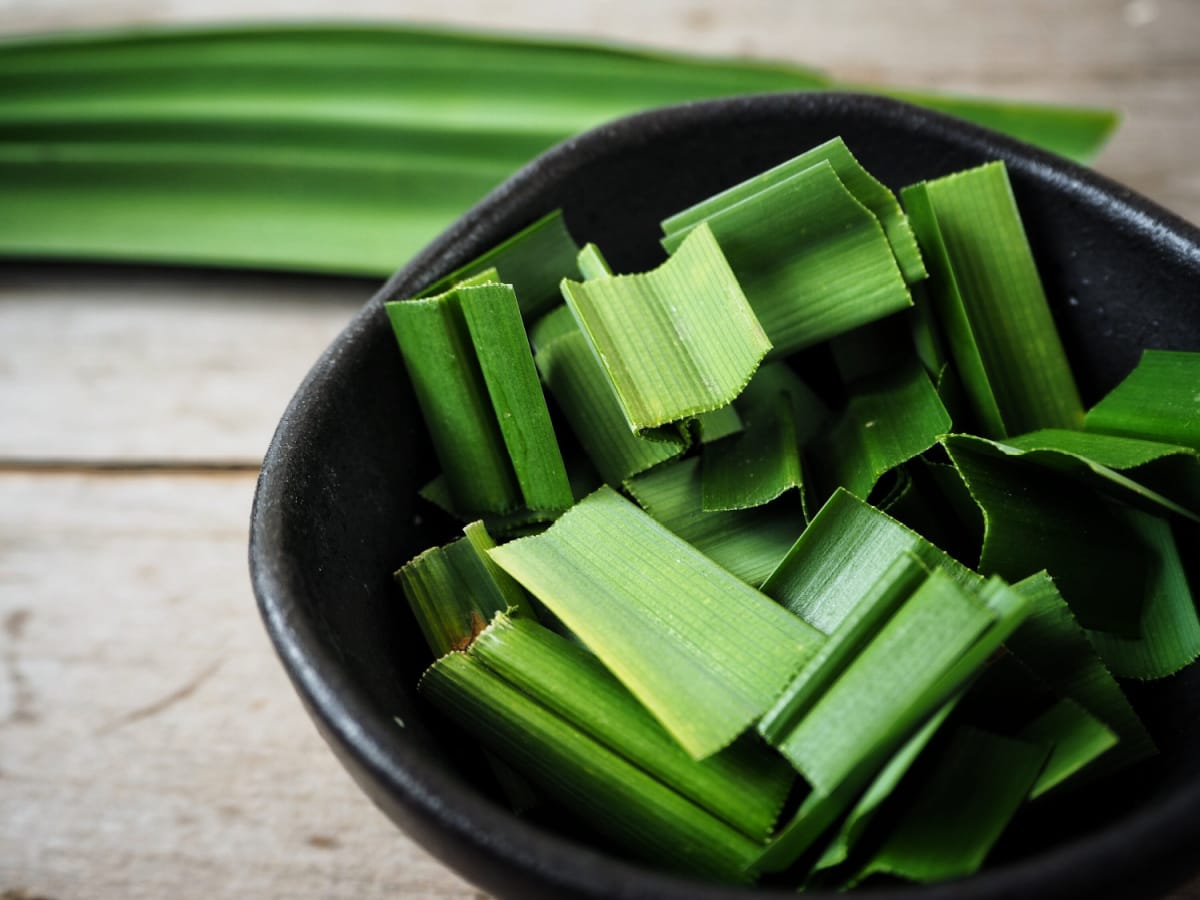 Pandan Leaves (Biryani leaves/Rambha leaves) Live Plant