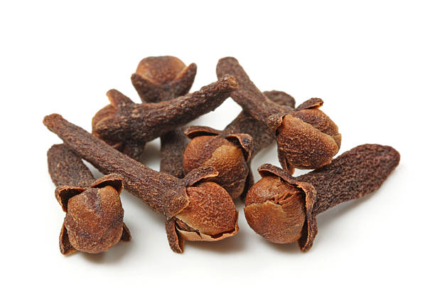 Clove / Lavang (Syzygium Aromaticum) Spice Plant