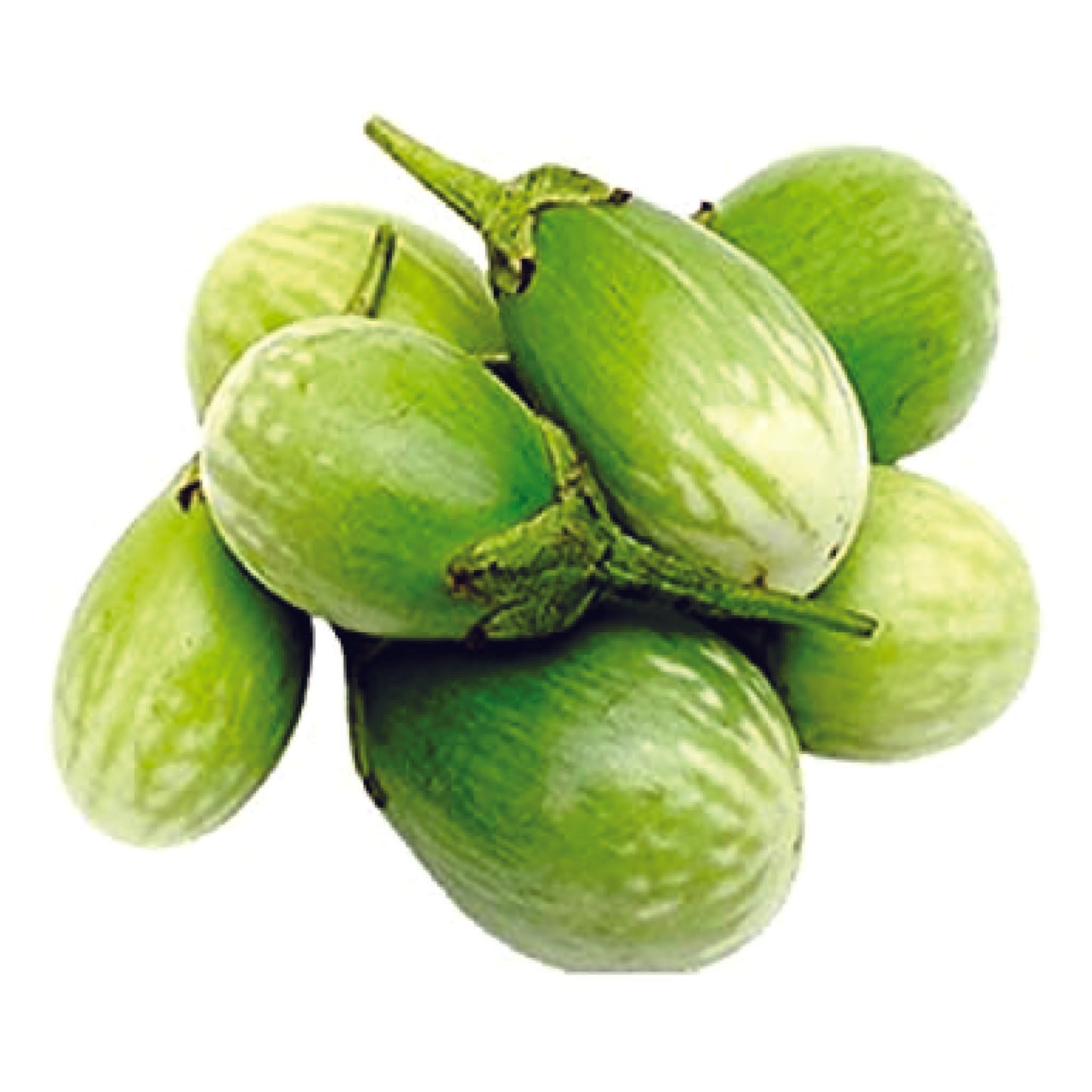 Organic Green Brinjal Seeds - Open Pollinated