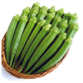 Organic Elephant Tusk Ladies Finger Seeds - Open Pollinated